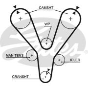 ремень ГРМ 5555XS tucson JM 04-09 2.7l G6BA