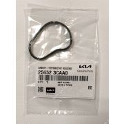 прокладка корпуса термостата 25652-3CAA0